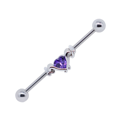 316 Steen van Roestvrij staal de Leuke Industriële Doordringende Juwelen 14G Purple Heart Zircon