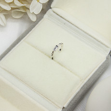 De zilveren Besnoeiing Diamond Stud Earrings van Kostuumdiamond cartilage hoop earrings princess