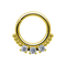 Glanzende Zircons-het Doordringen het Segment van de Neusbrug Juwelen Scharnierende het Doordringen Juwelen